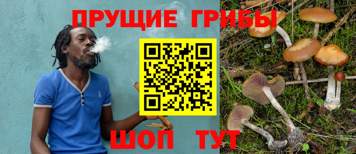 Псилоцибиновые грибы Magic Shrooms Химки