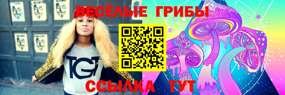 Галлюциногенные грибы мухоморы  Псилоцибиновые грибы мухоморы  купить наркотики цена  Вход с VPN  Химки 