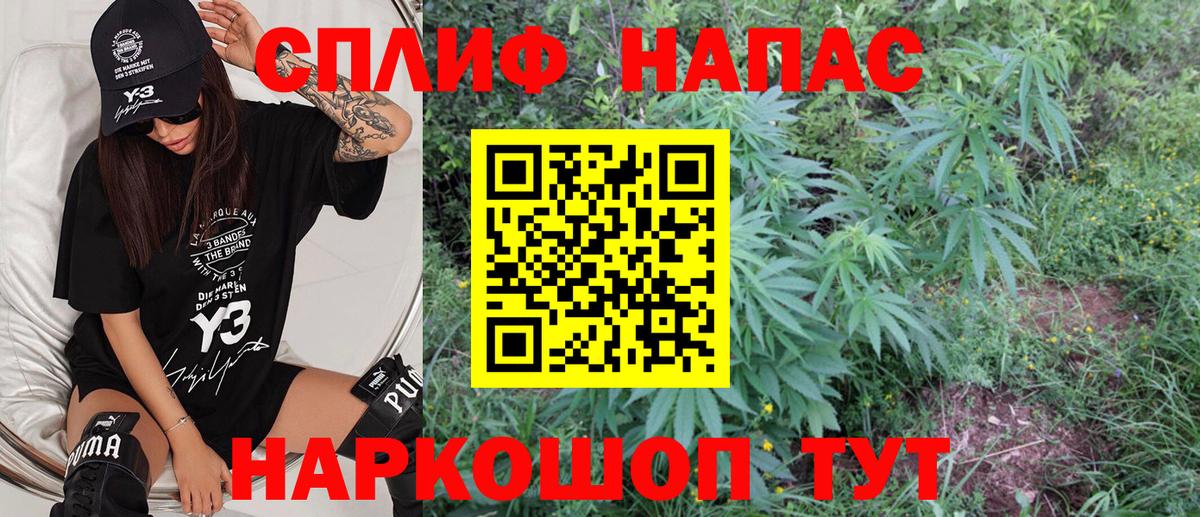 Химки  Бошки марихуана план  Шишки марихуана White Widow  Вход с VPN  Конопля MAZAR  Бошки марихуана сатива 